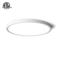 12" LED CEILING LIGHT