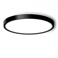 12" LED CEILING LIGHT